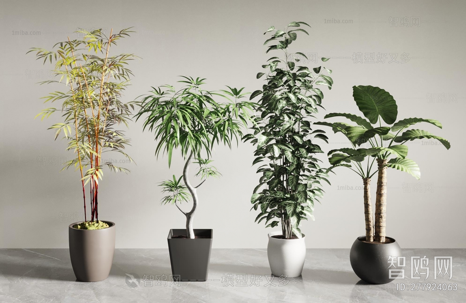 Modern Ground Green Plant Potted Plants