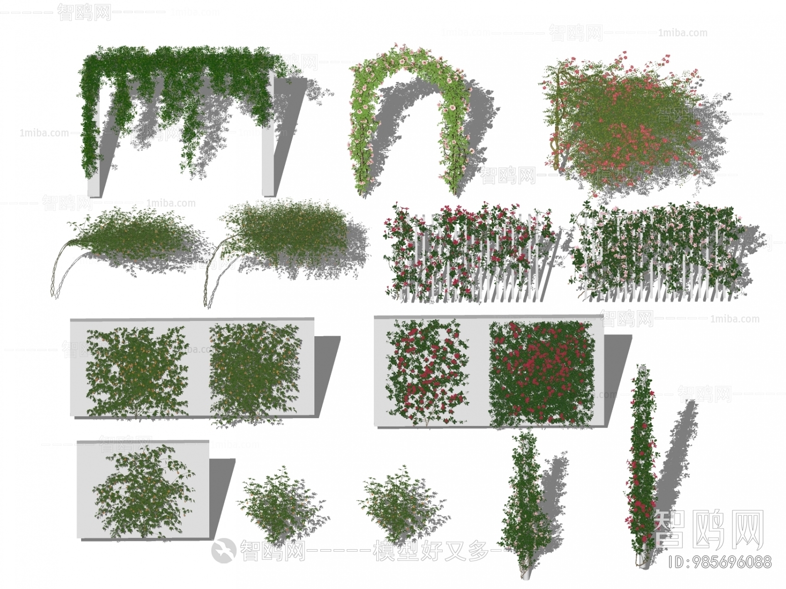 现代攀爬植物月季花玫瑰