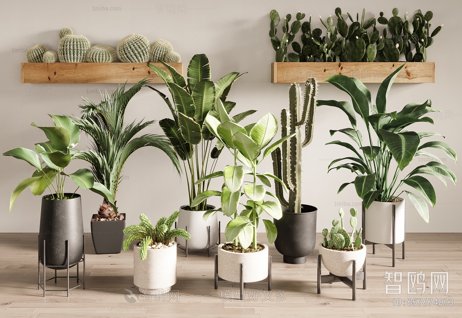 Modern Ground Green Plant Potted Plants