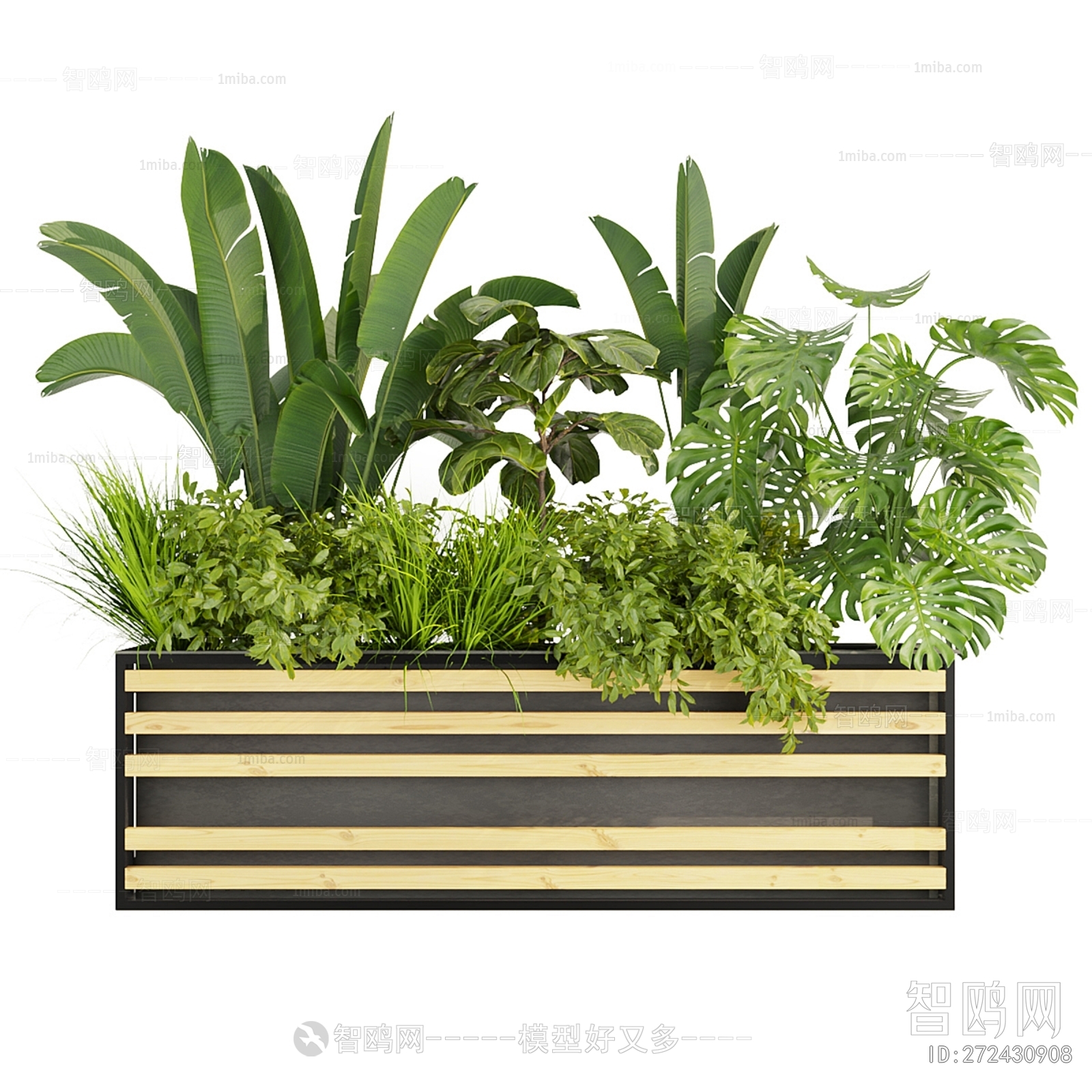 现代灌木绿植 花箱