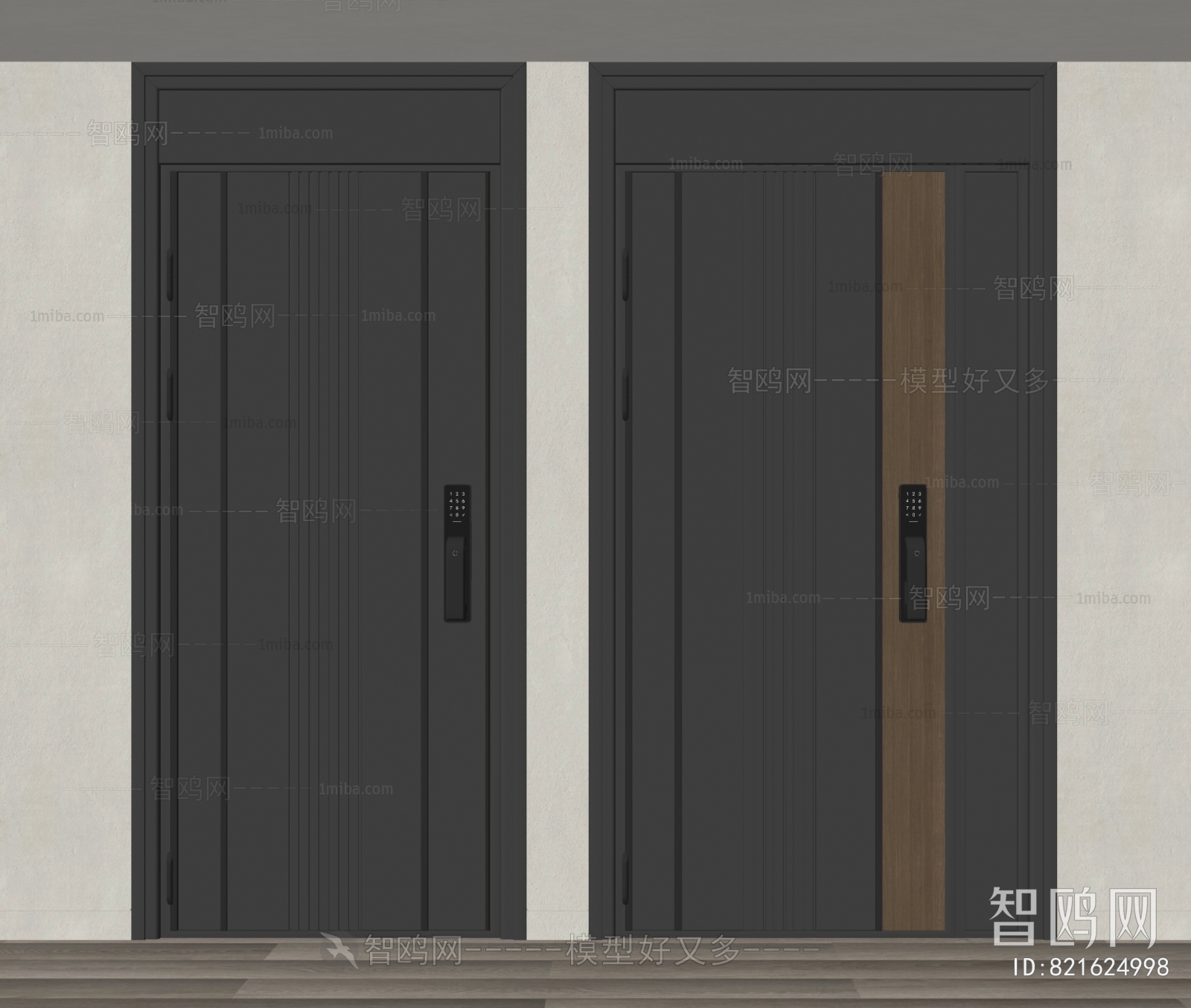 Modern Entrance Door