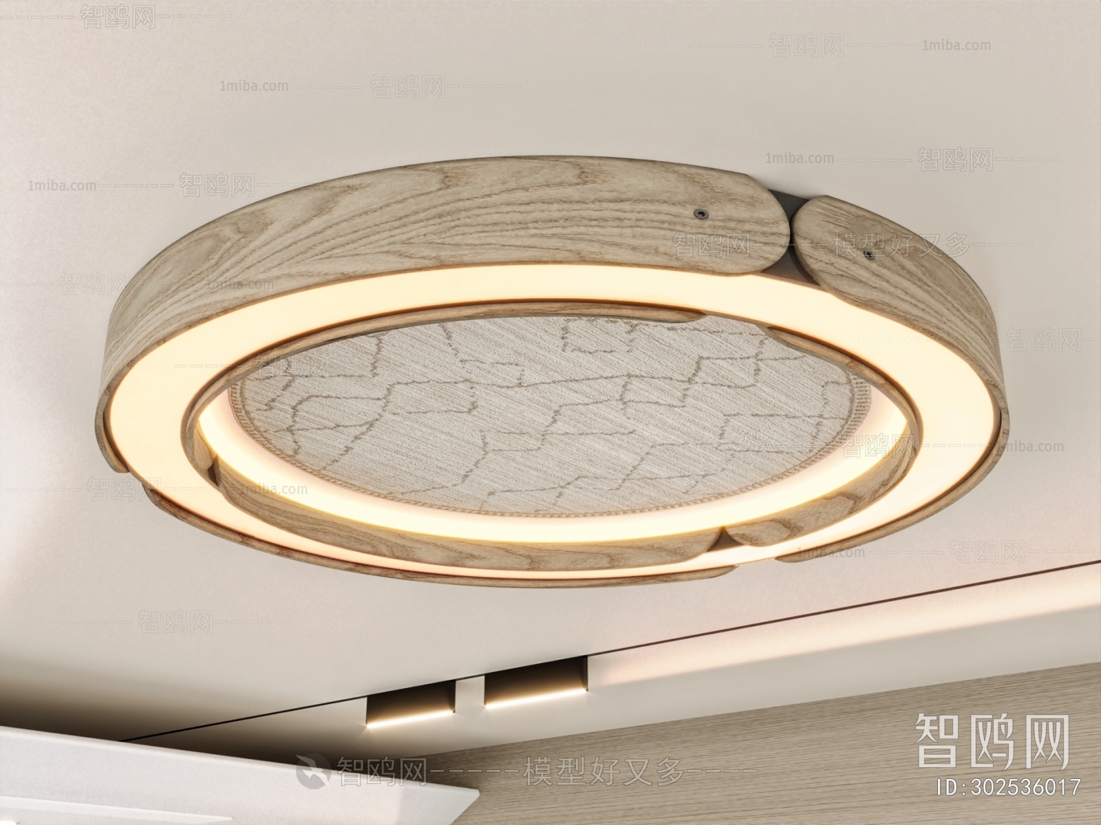 Modern Ceiling Ceiling Lamp