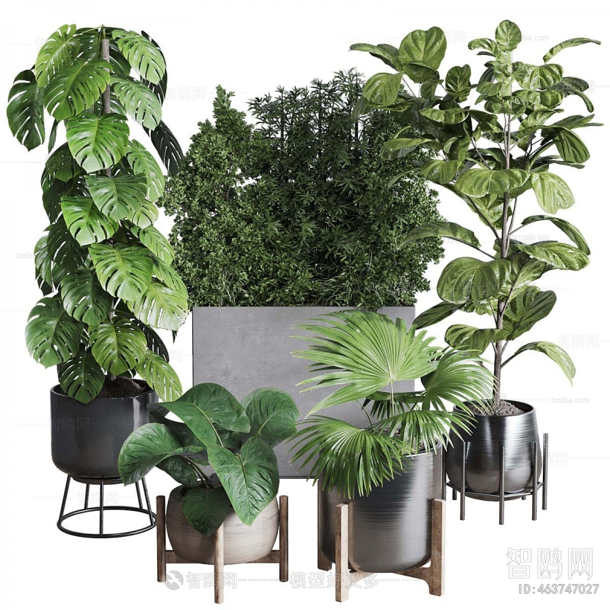 Modern Ground Green Plant Potted Plants