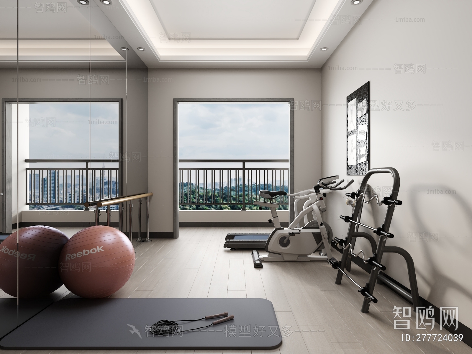 Modern Home Fitness Room