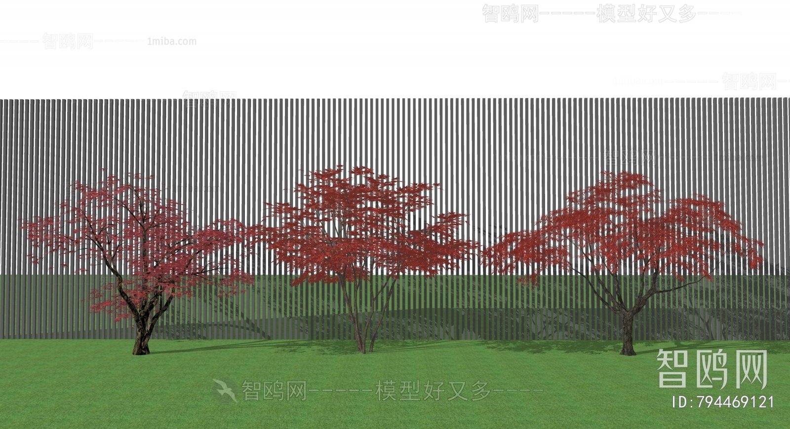现代景观红枫树