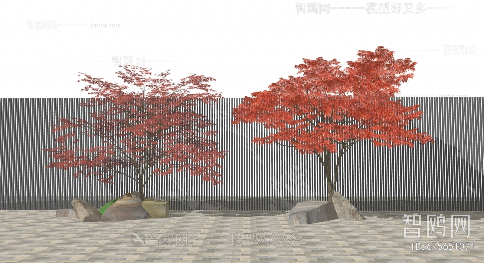 现代景观红枫树