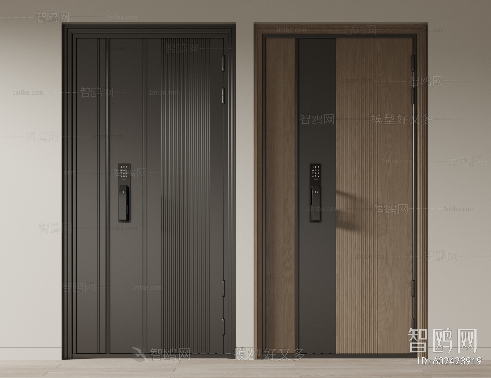 Modern Entrance Door