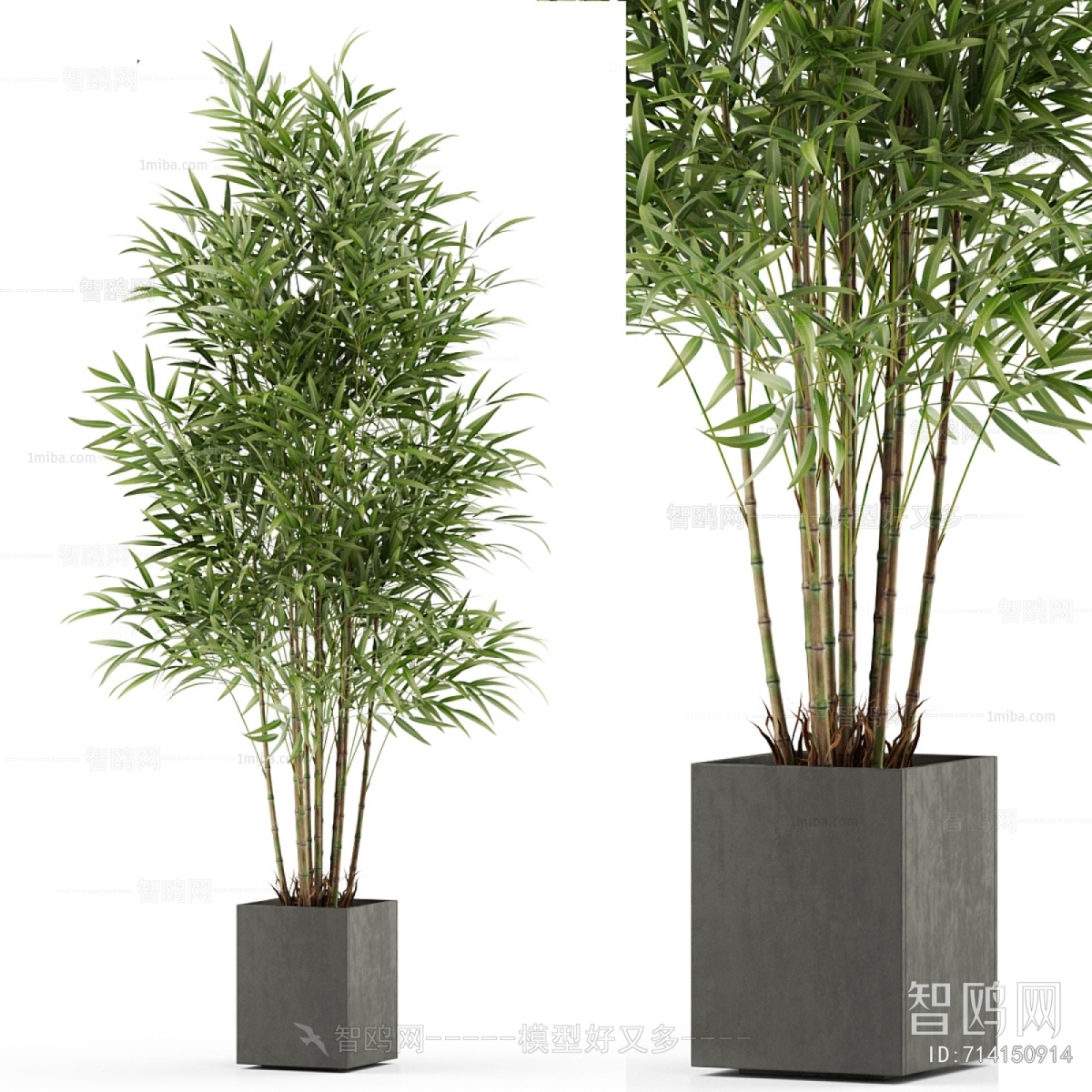 Modern Ground Green Plant Potted Plants