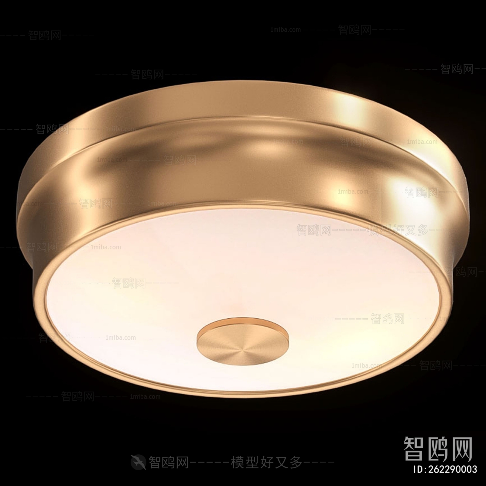 Modern Ceiling Ceiling Lamp