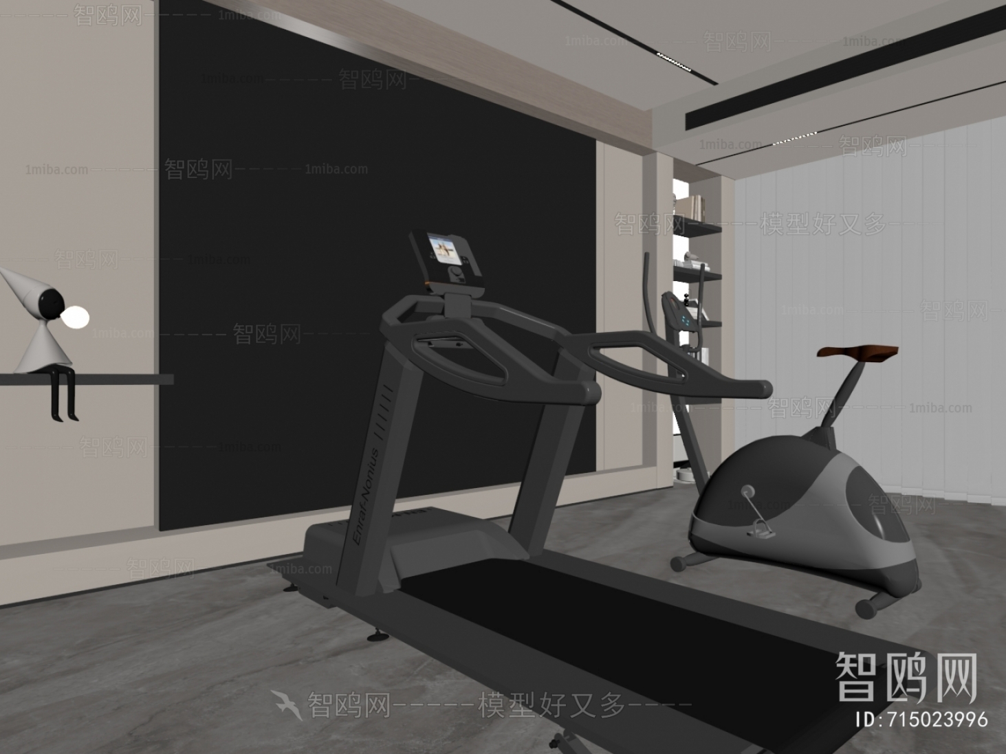 Modern Home Fitness Room