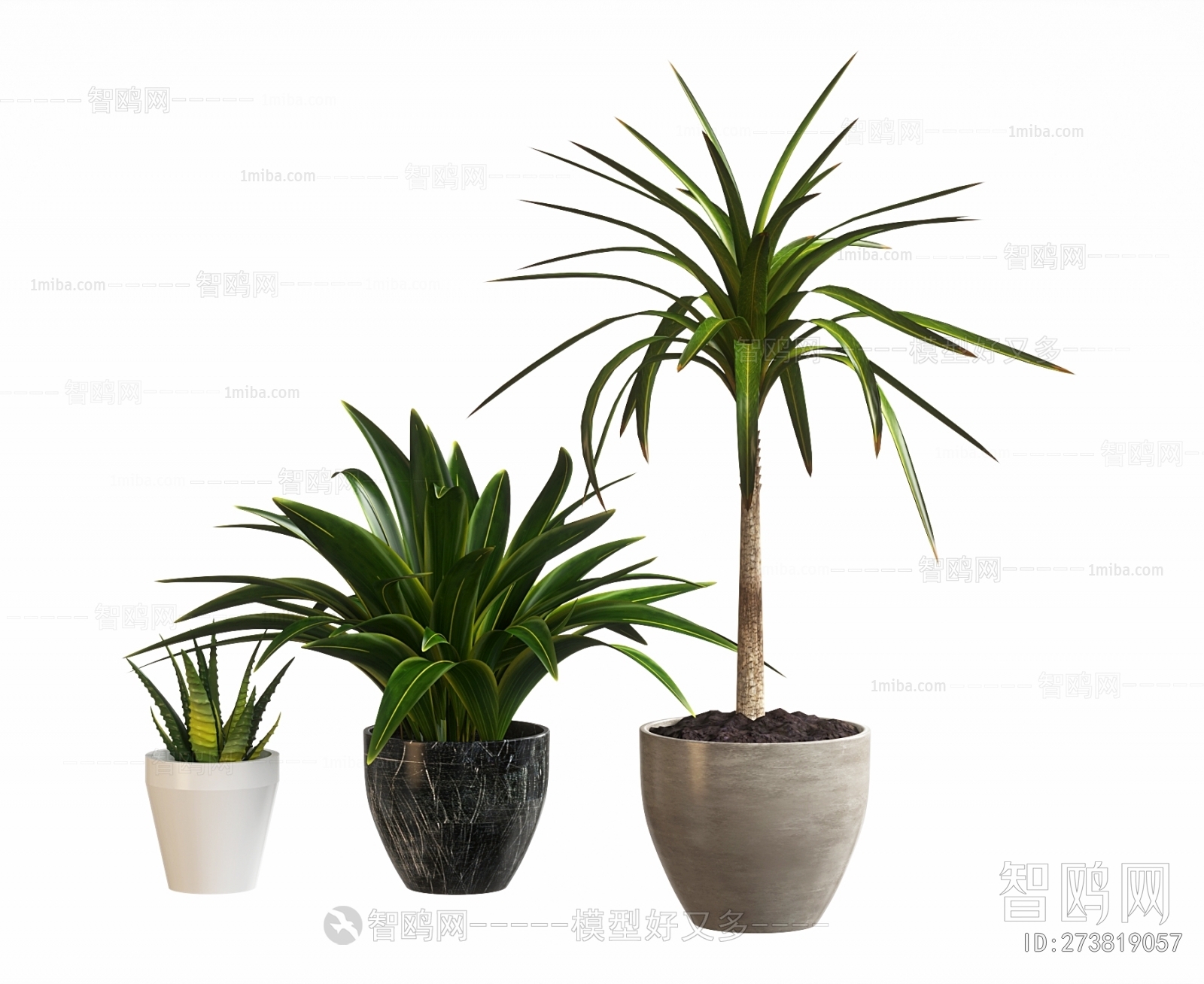 Modern Ground Green Plant Potted Plants