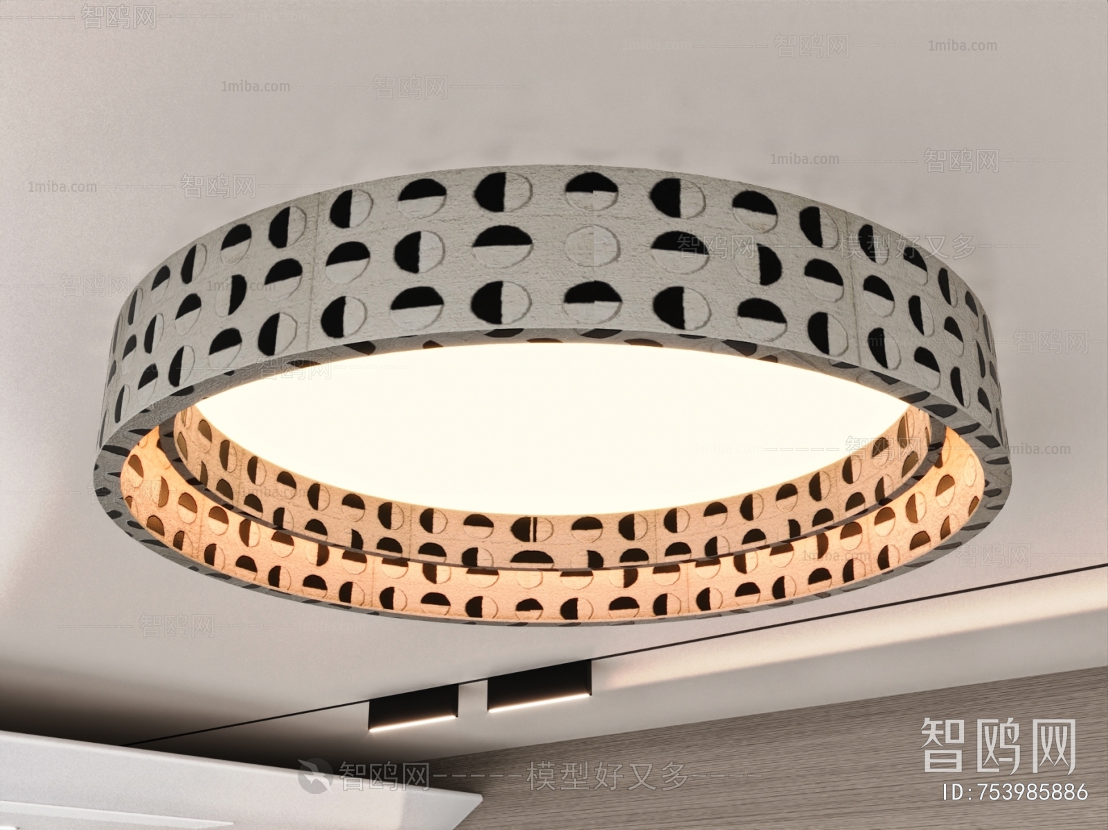 Modern Ceiling Ceiling Lamp