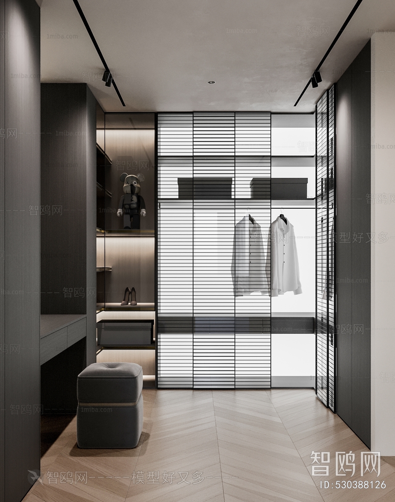 Modern Clothes Storage Area