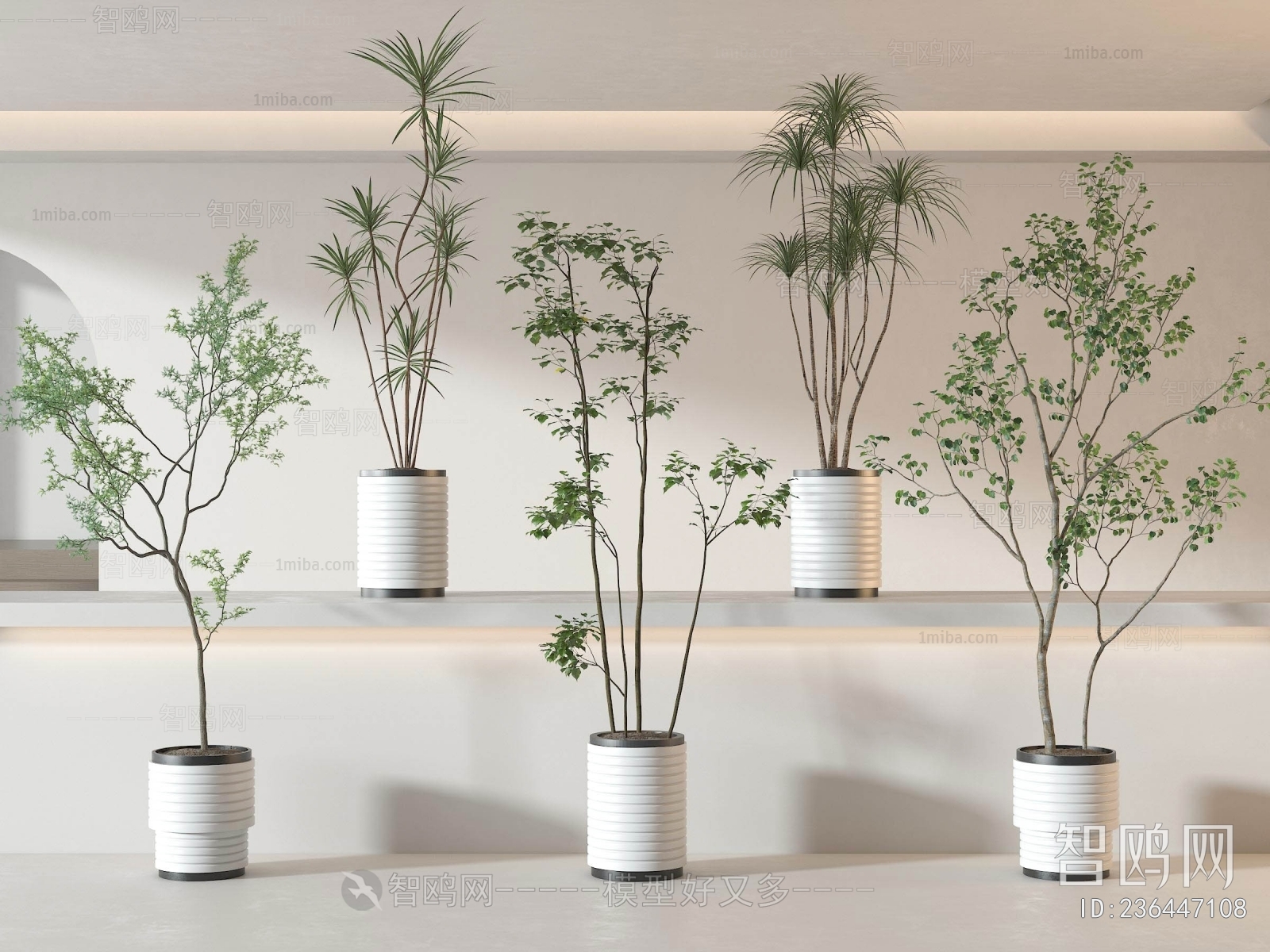 Modern Ground Green Plant Potted Plants