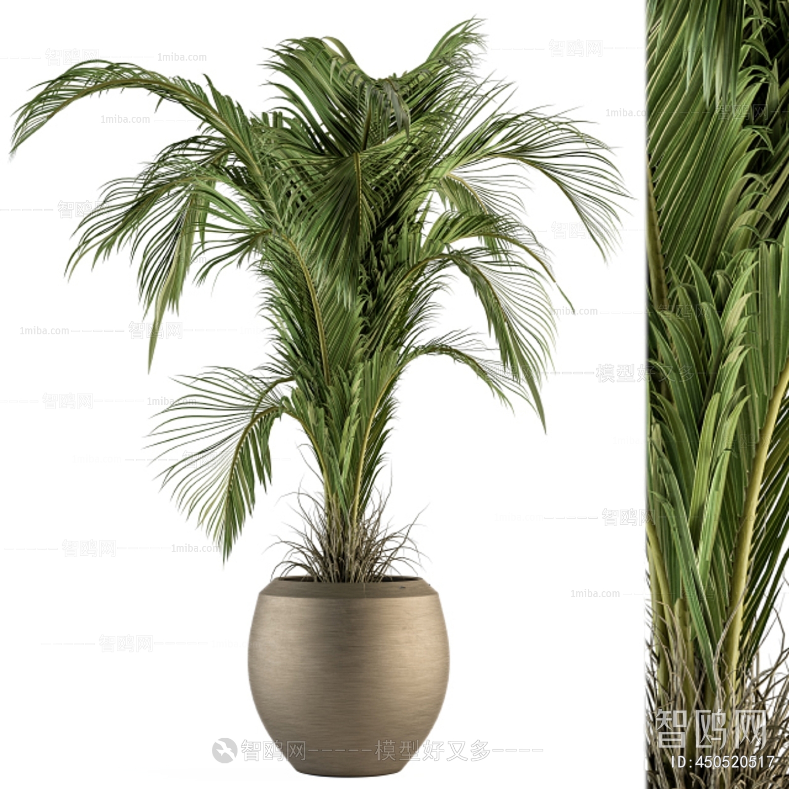 Modern Potted Green Plant