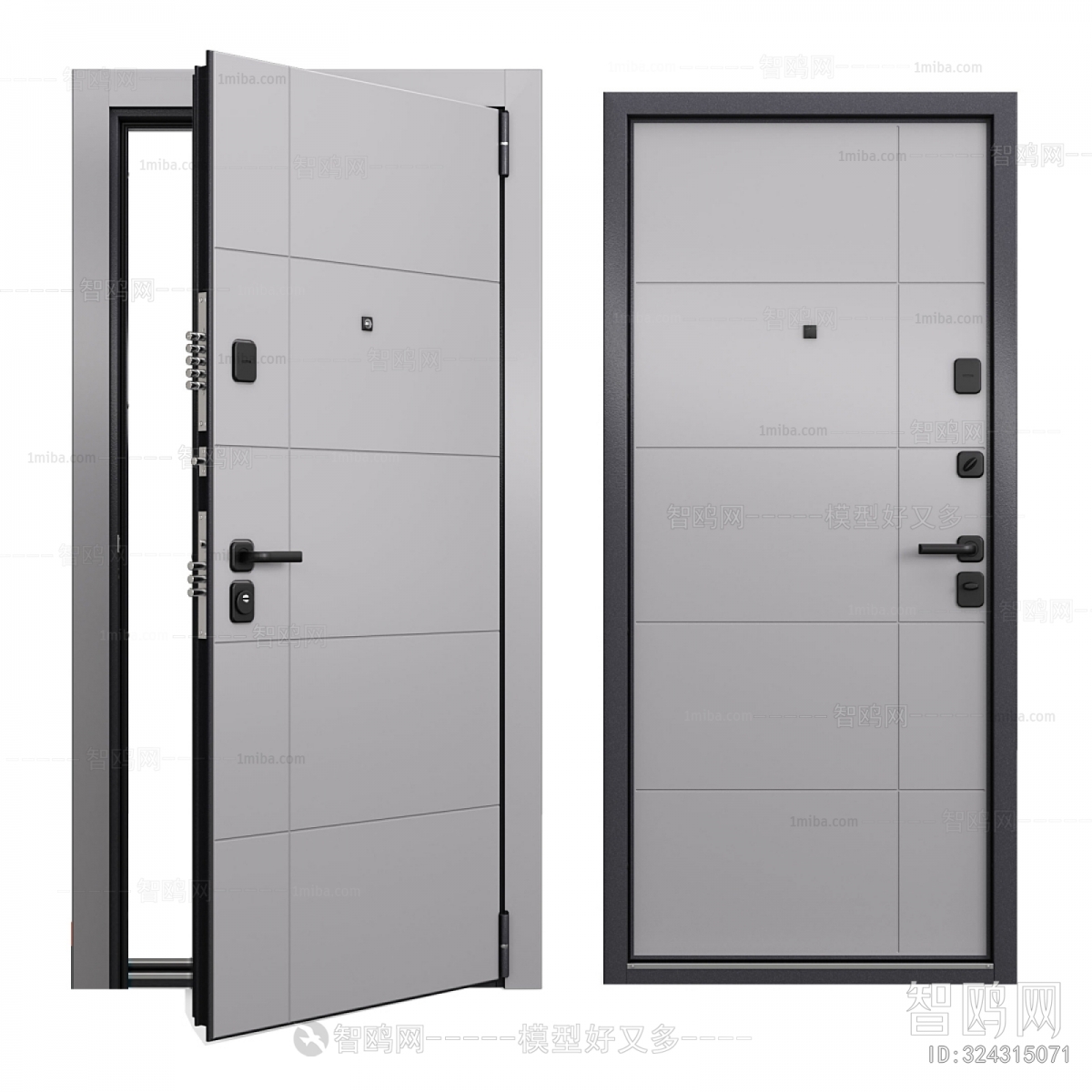 Modern Entrance Door