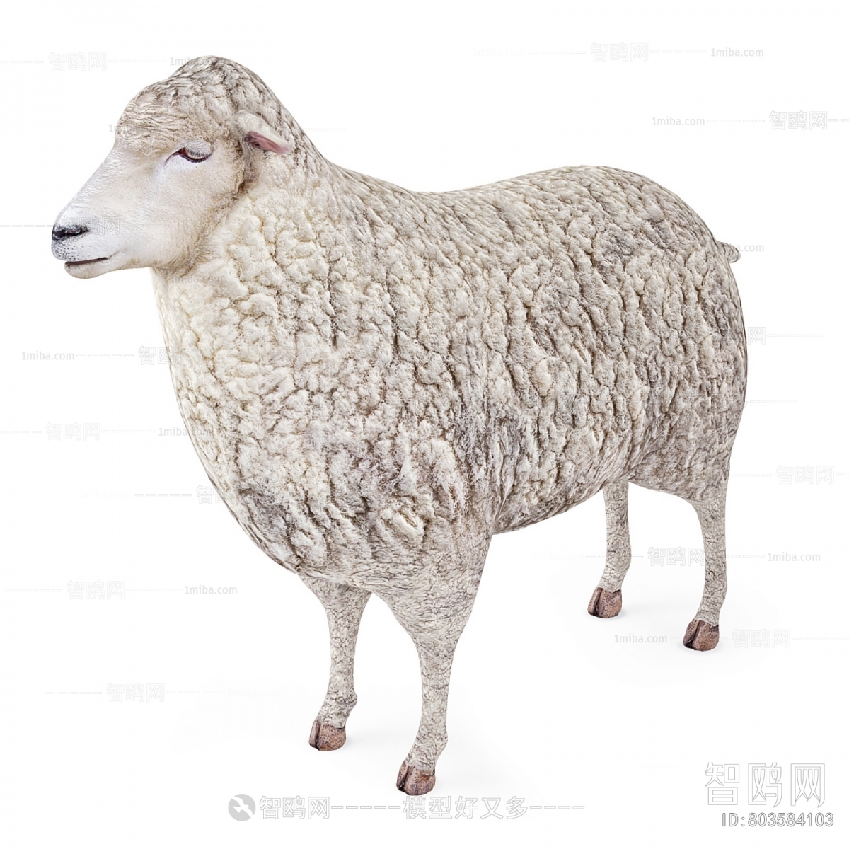 现代羊