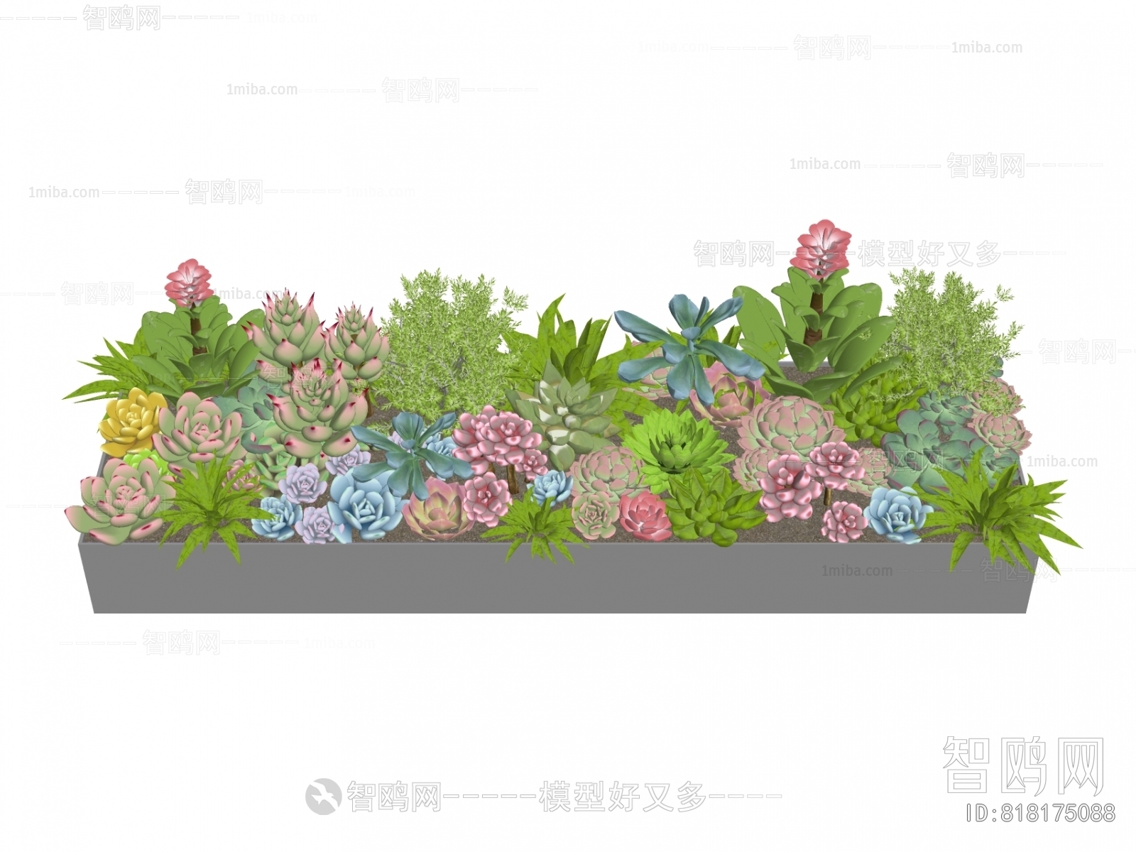 Modern Flower Bed, Flower Bowl, Flower Box