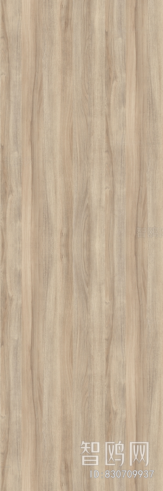 Wood Texture