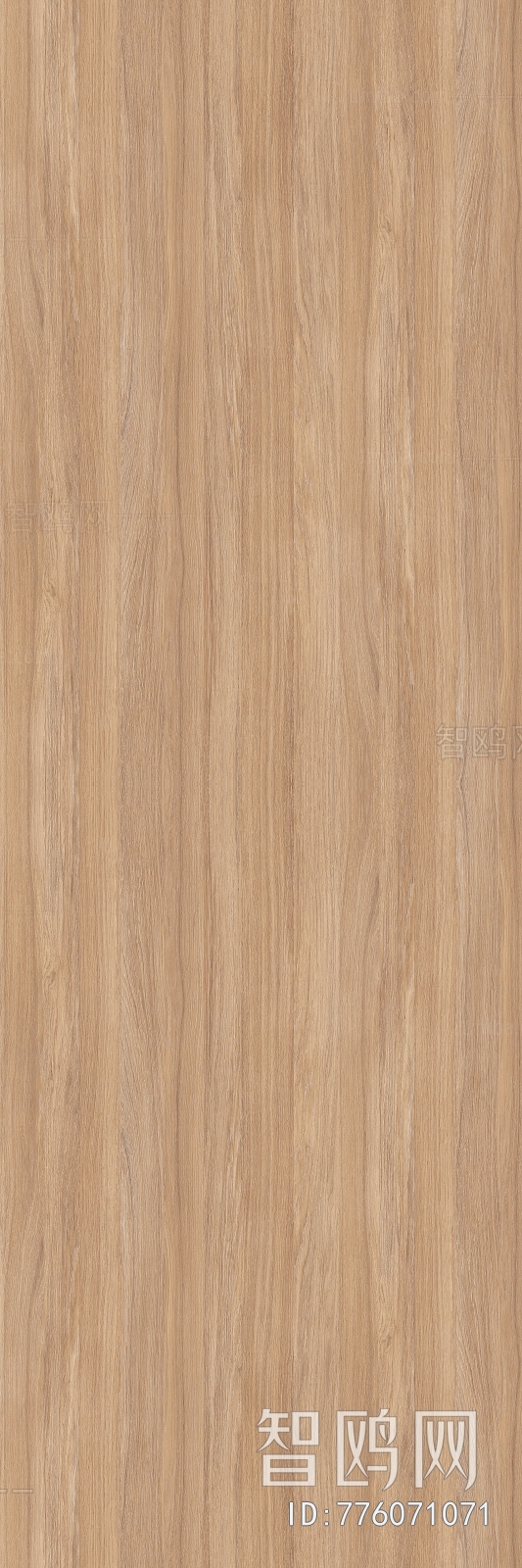 Wood Texture