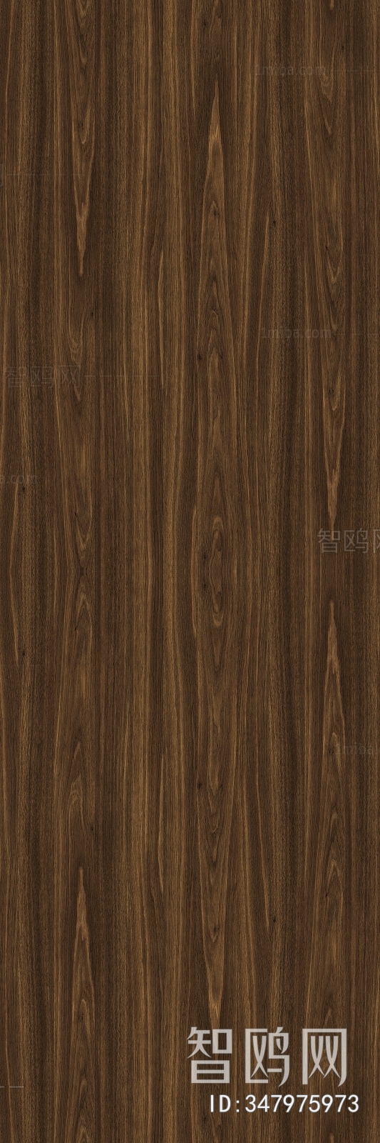 Wood Texture