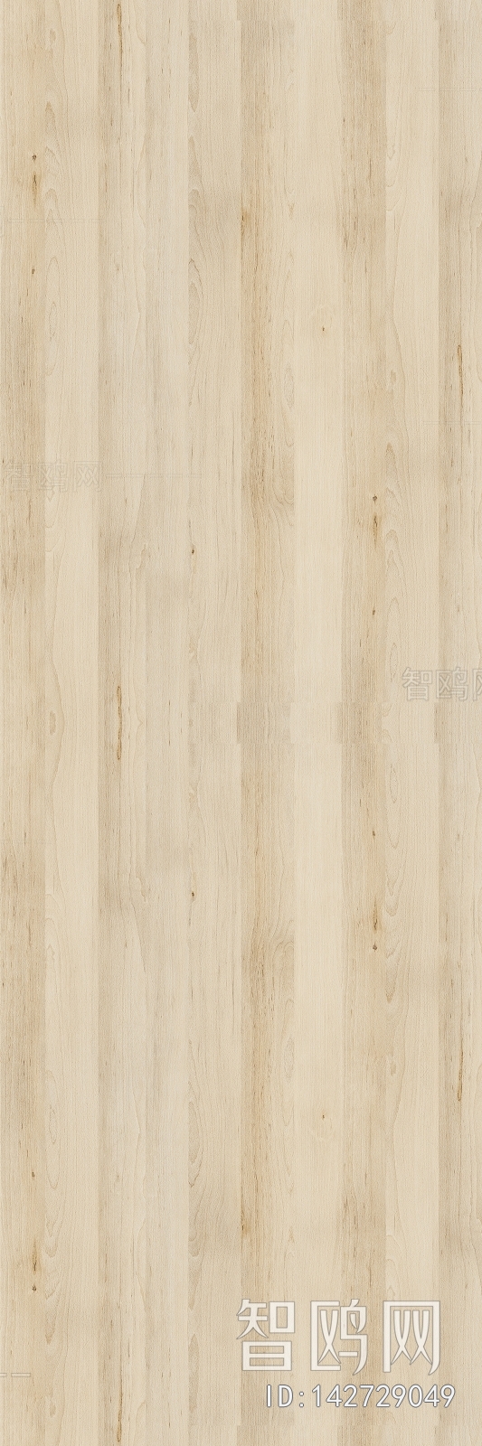 Wood Texture