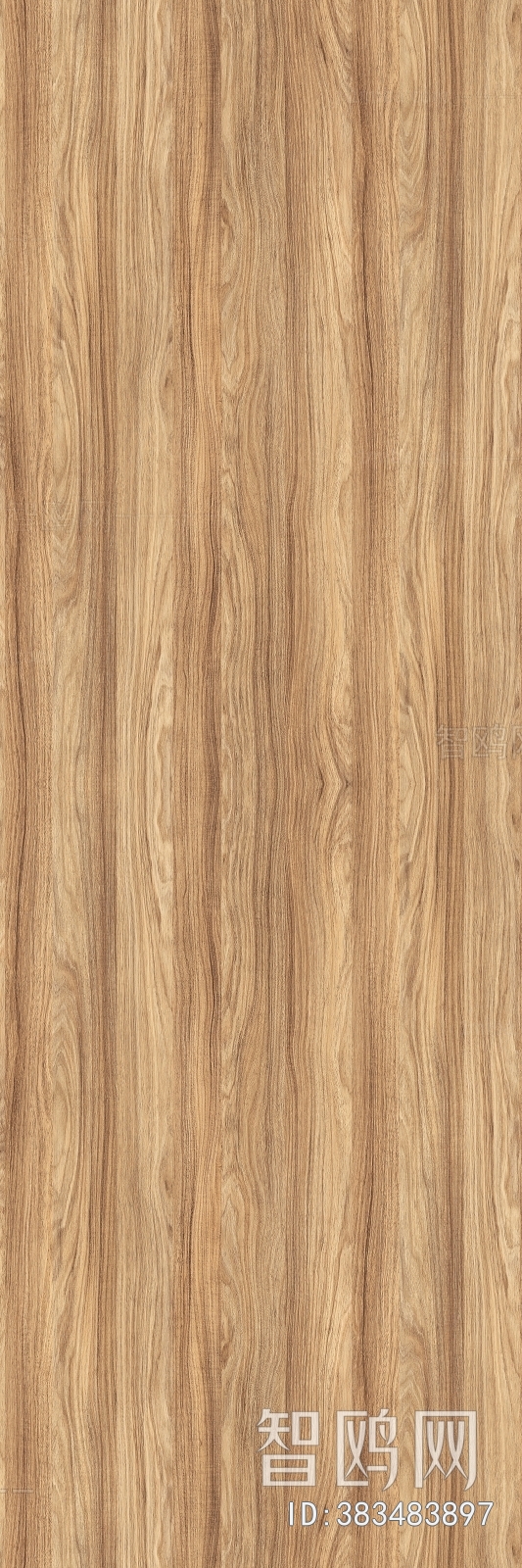 Wood Texture