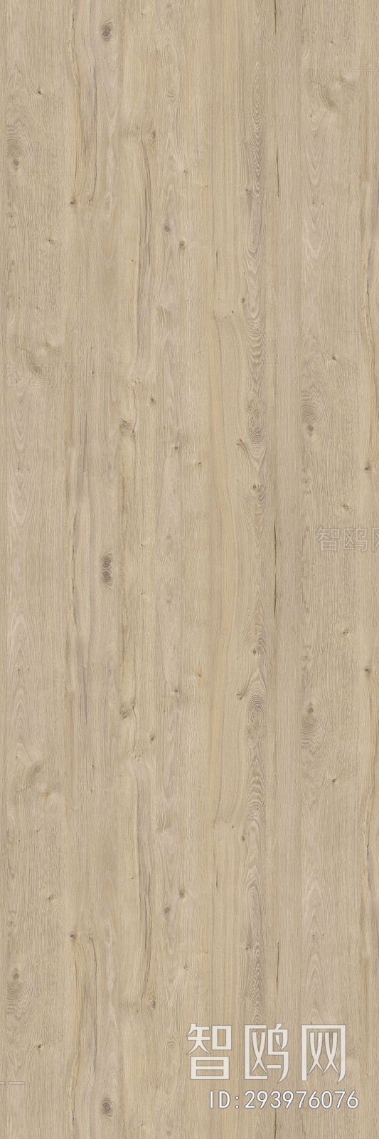 Wood Texture