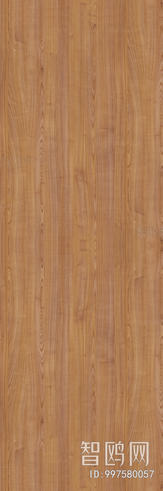 Wood Texture