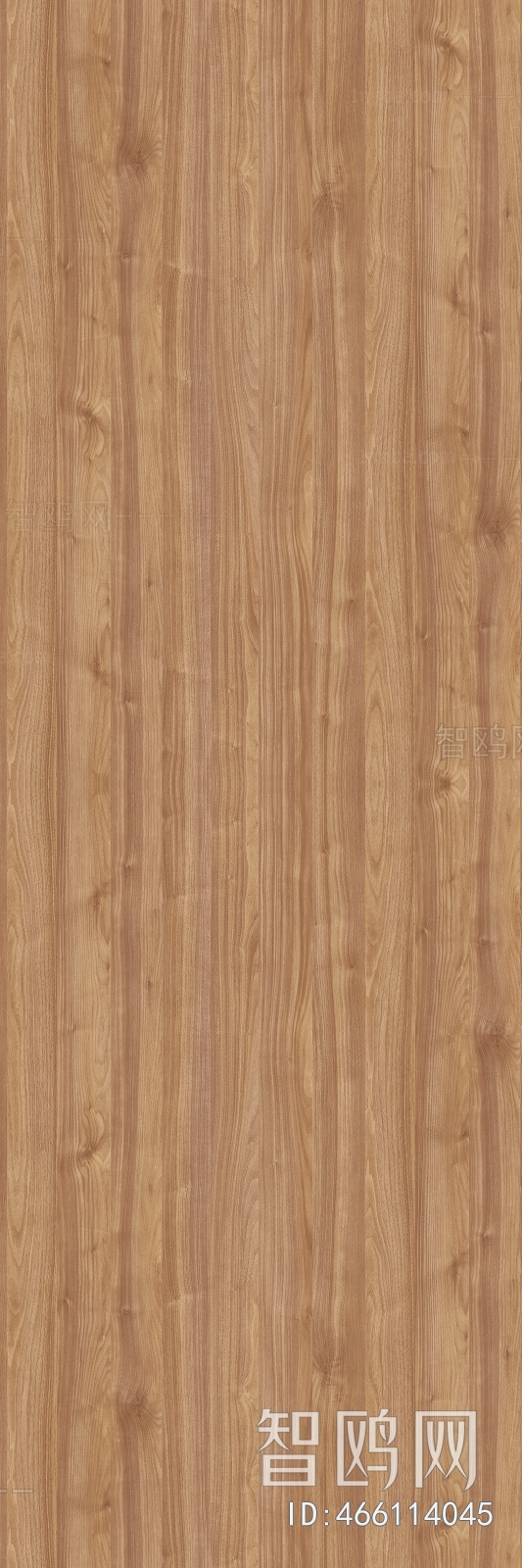 Wood Texture