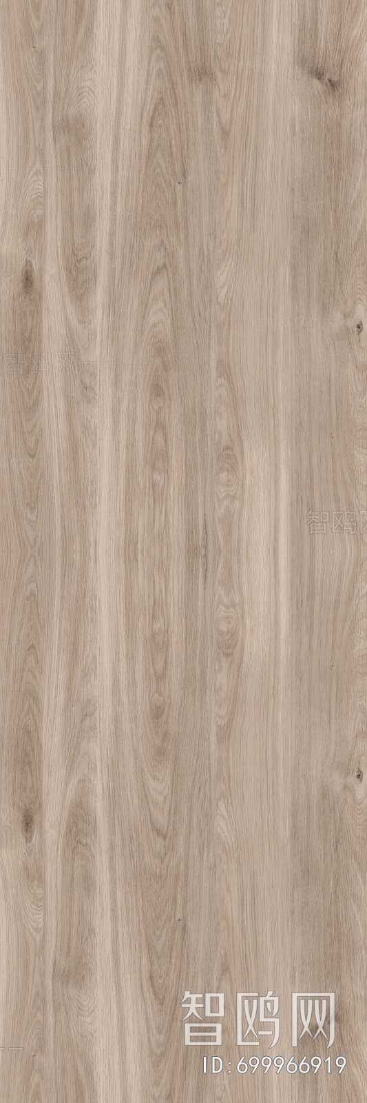 Wood Texture