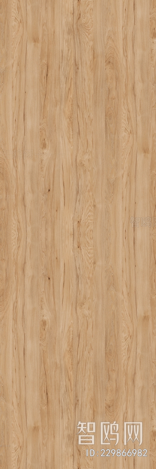 Wood Texture