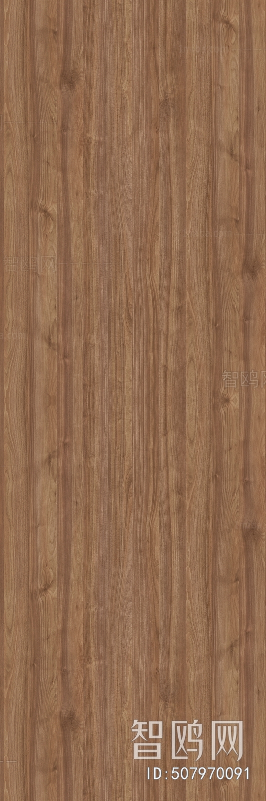 Wood Texture