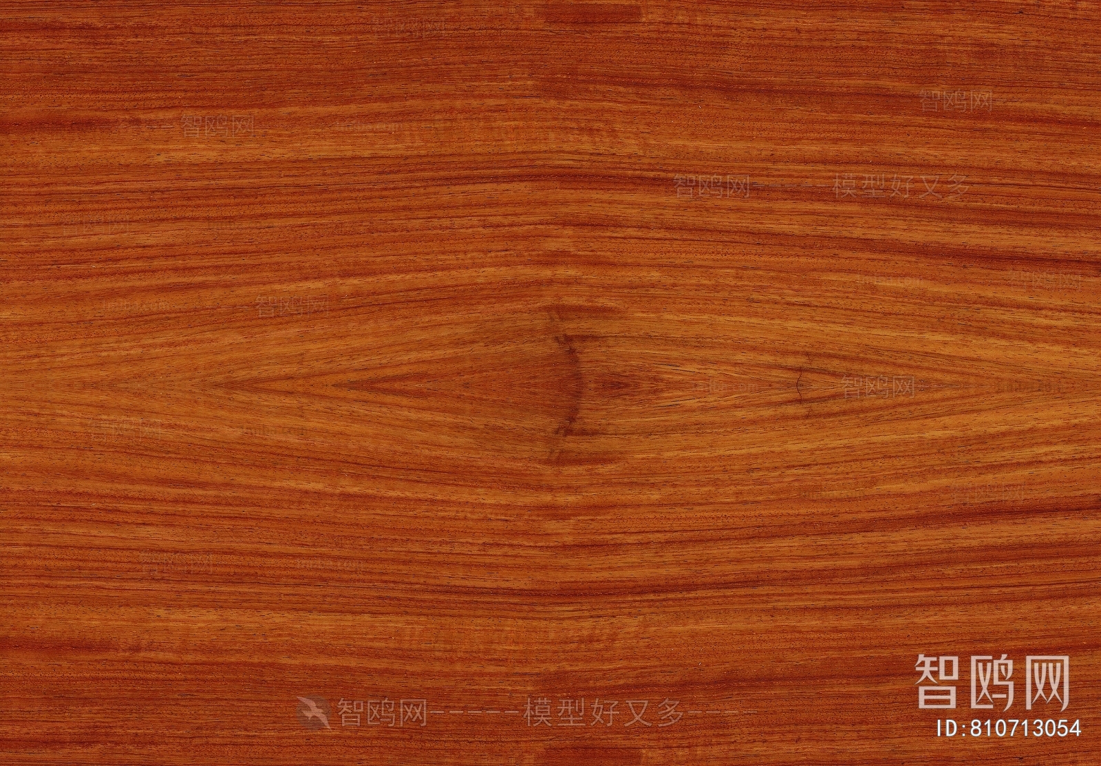 Wood Texture