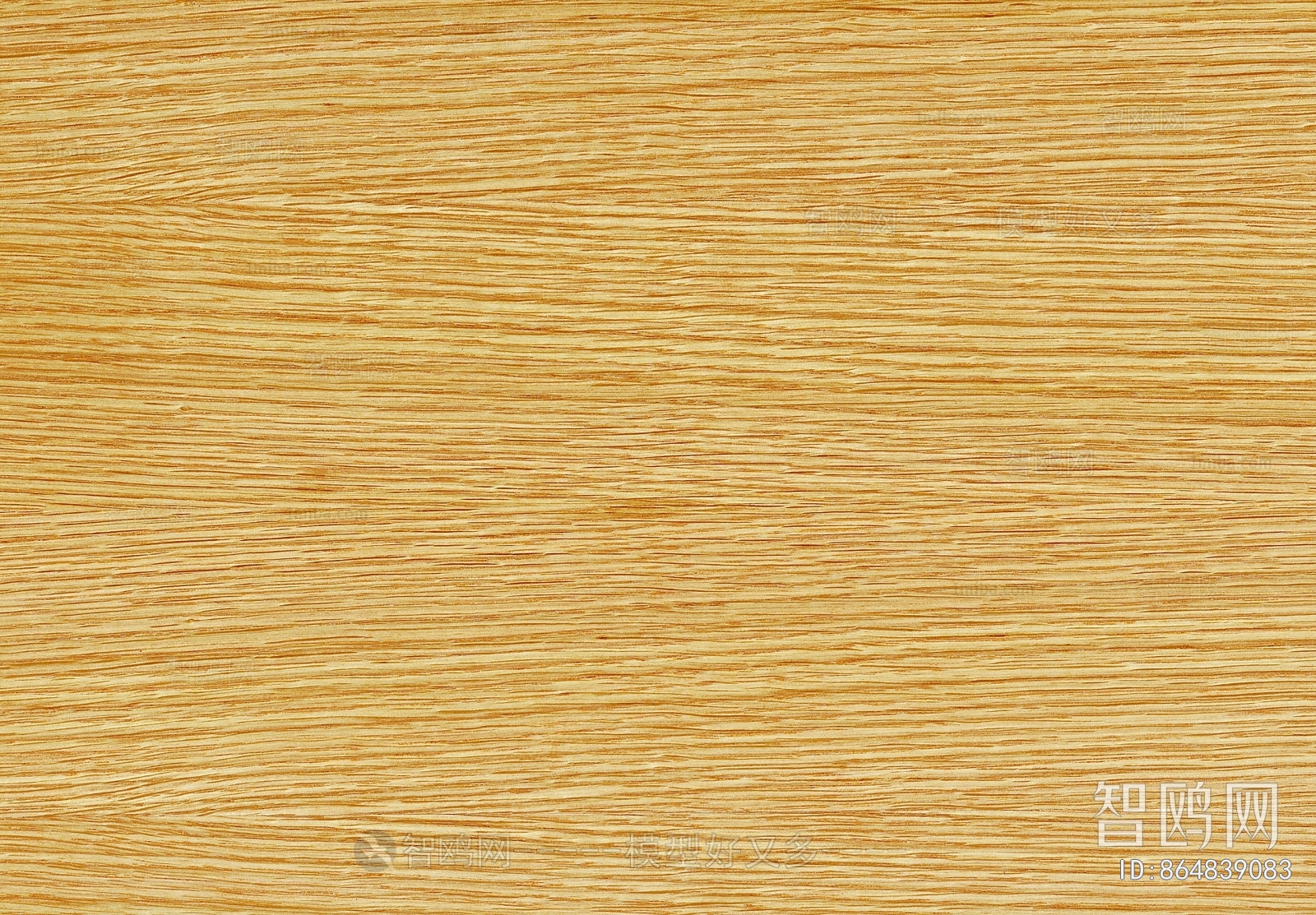 Wood Texture