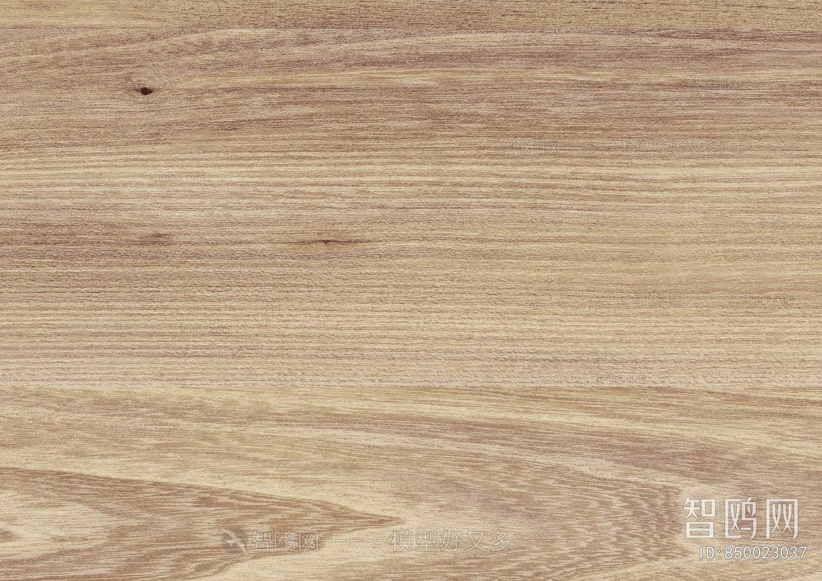 Wood Texture