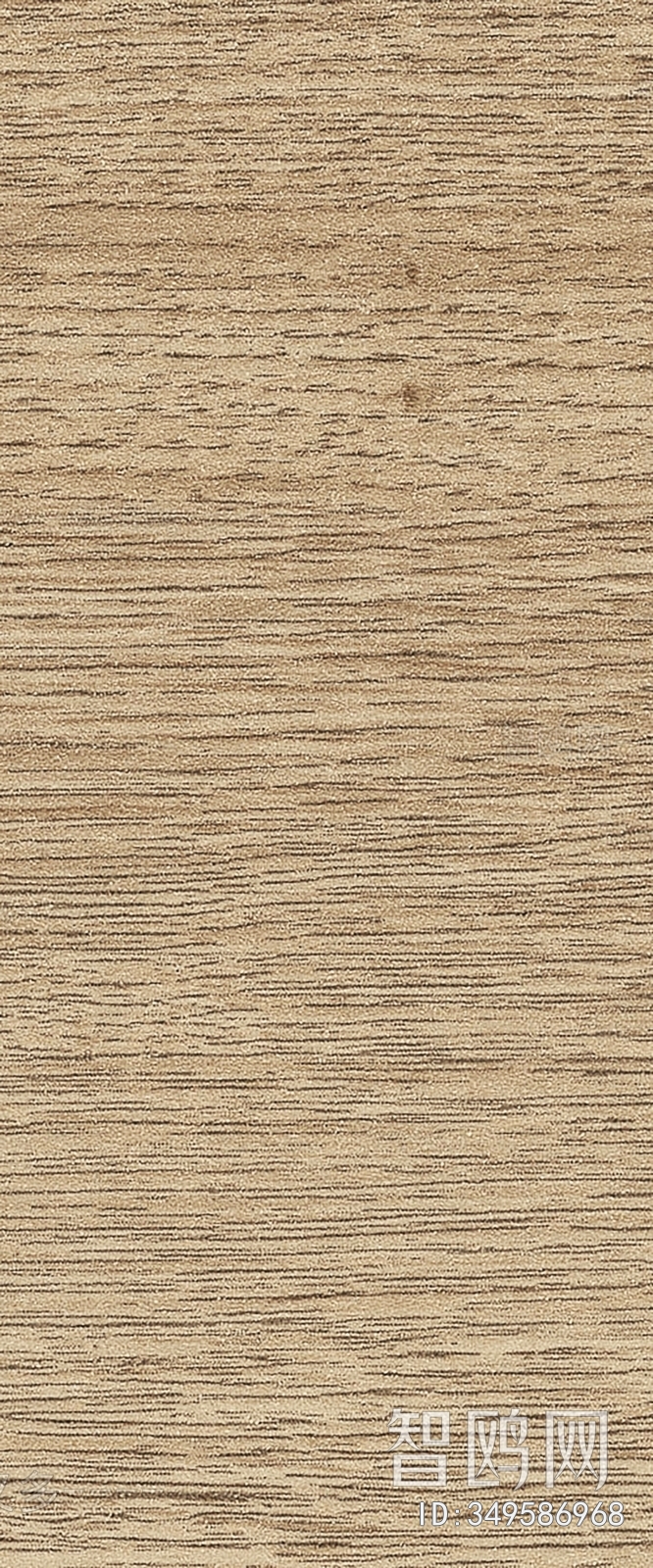 Wood Texture