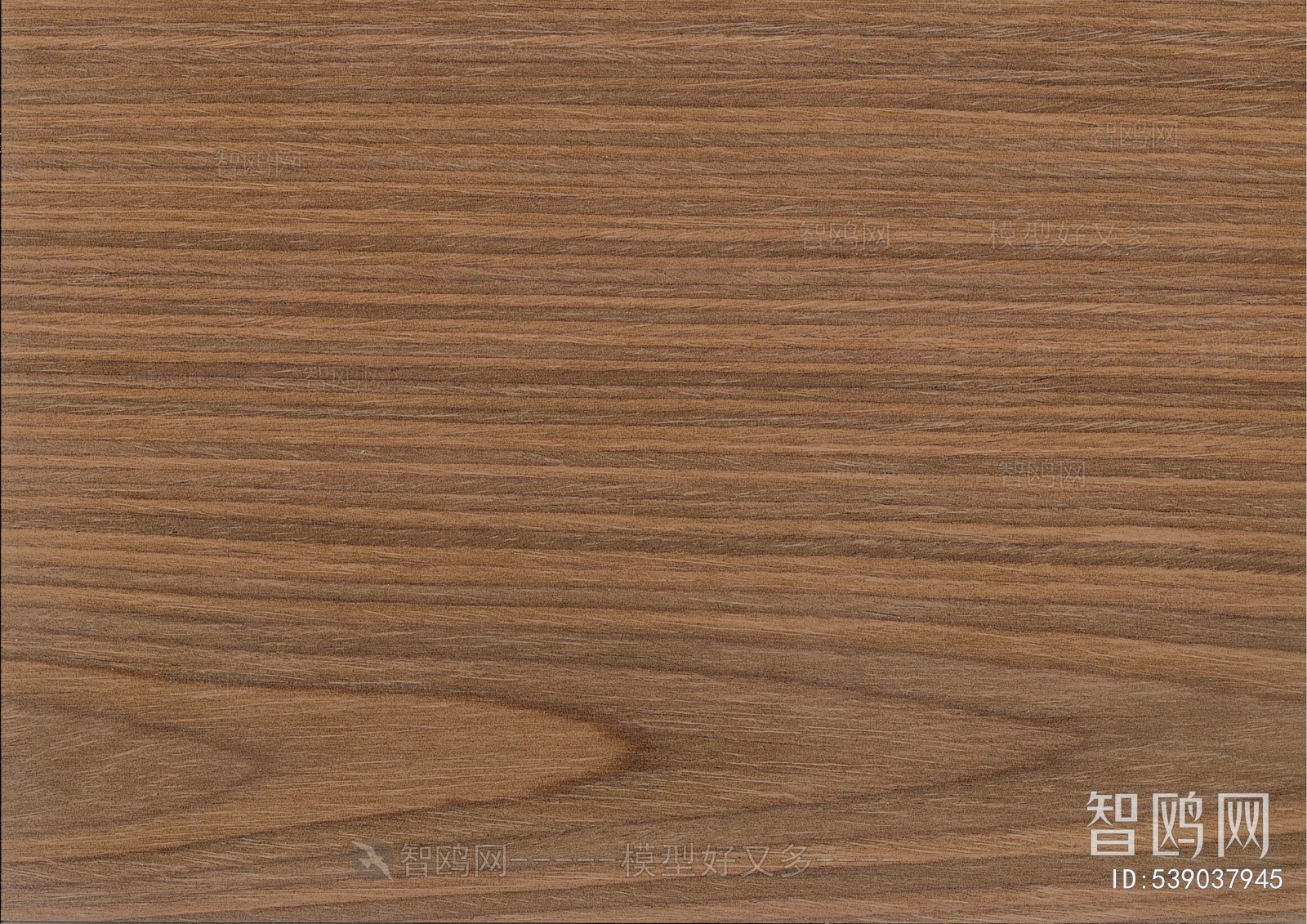 Wood Texture