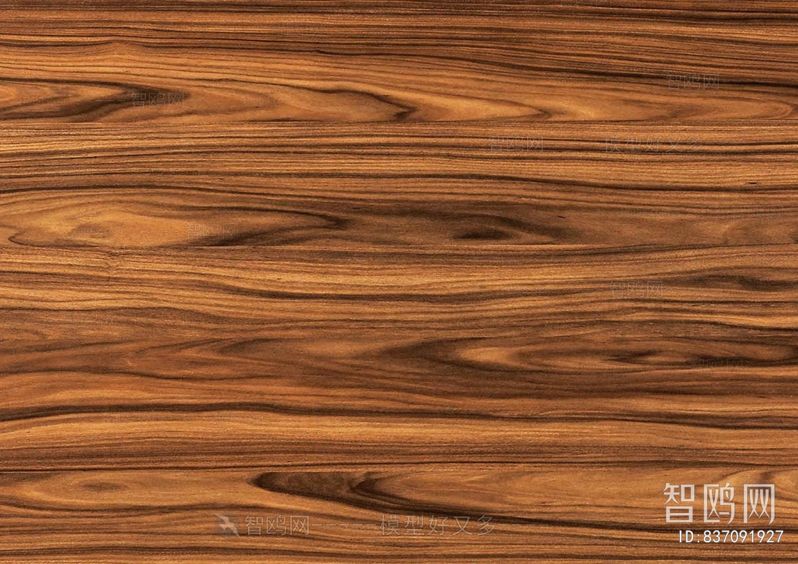 Wood Texture