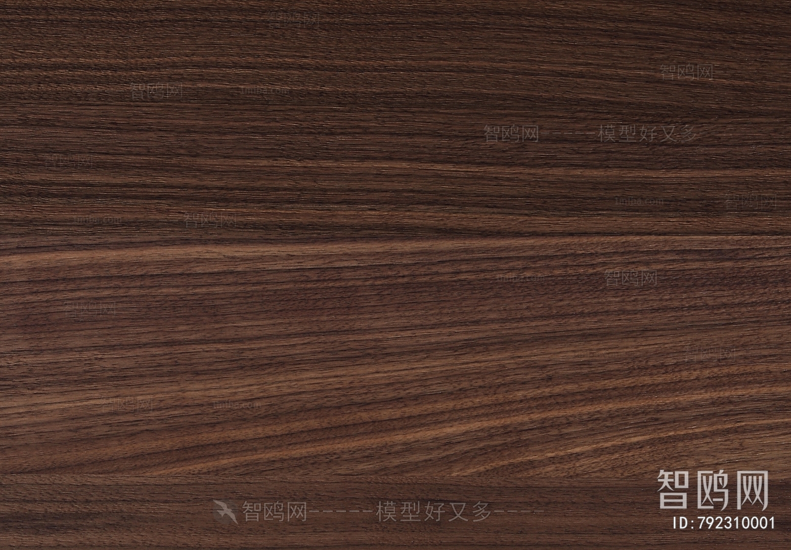 Wood Texture