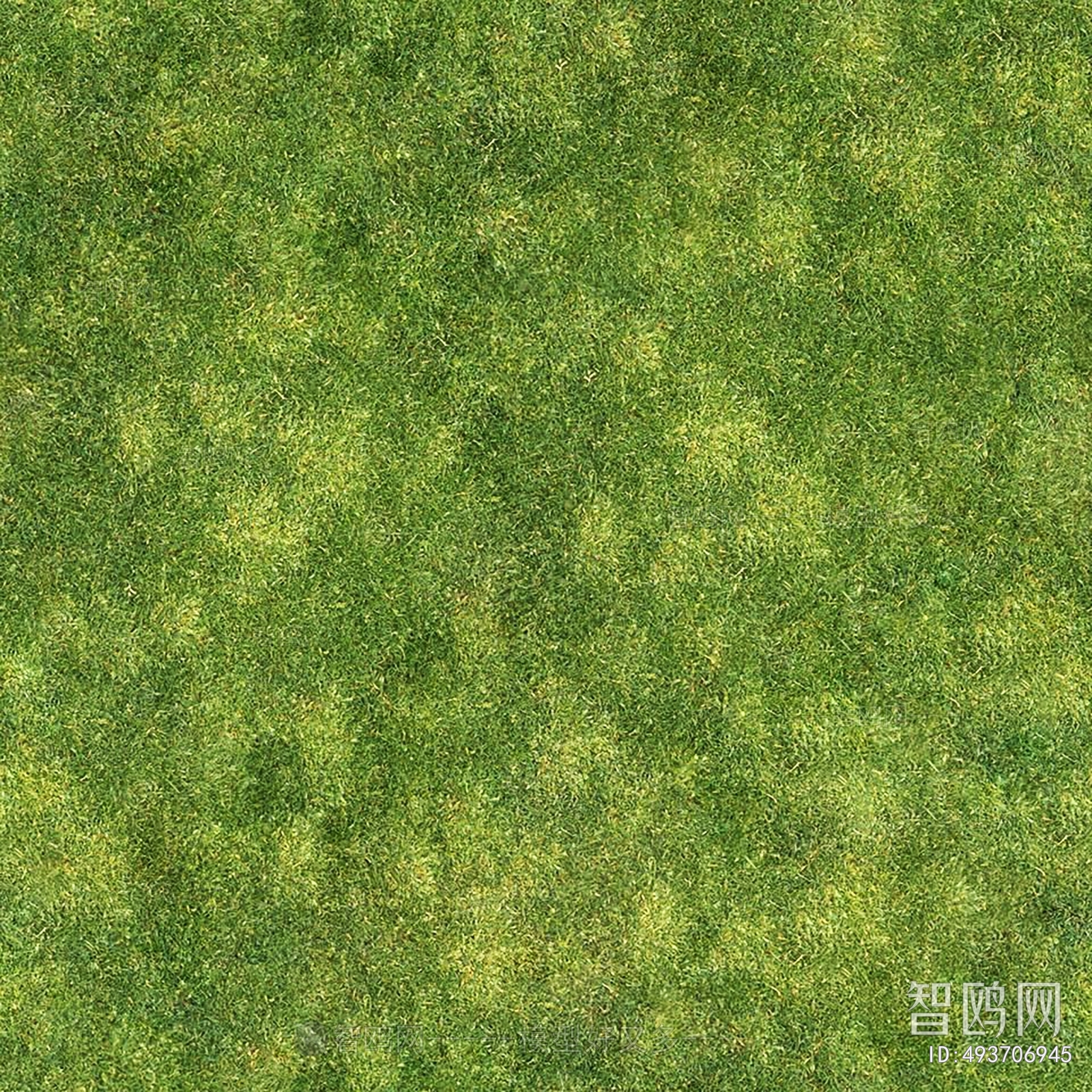 地面绿化草皮地面贴图