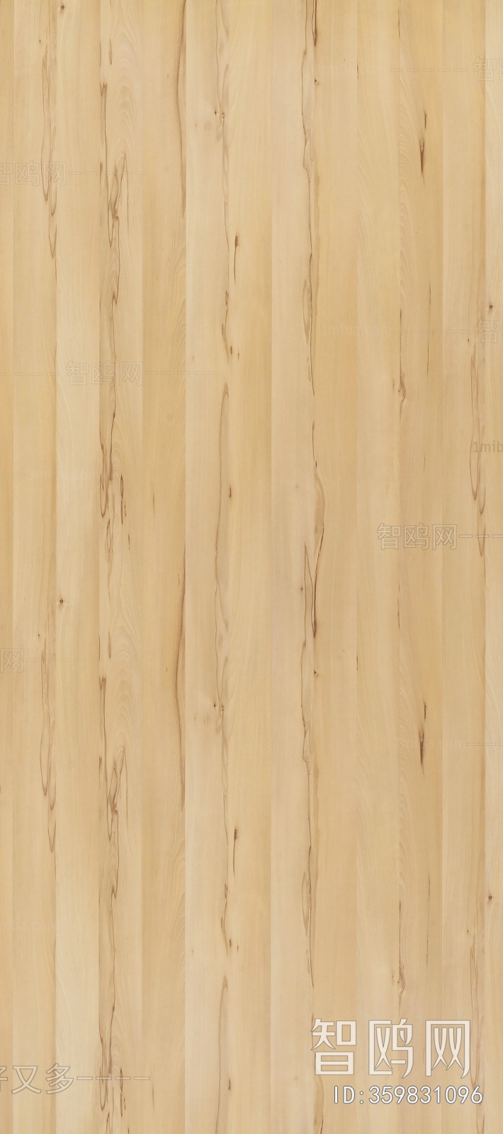 Wood Texture