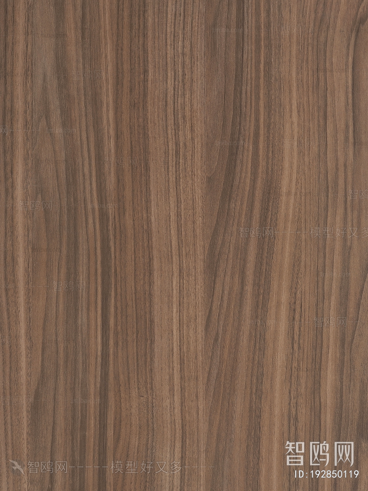 Wood Texture