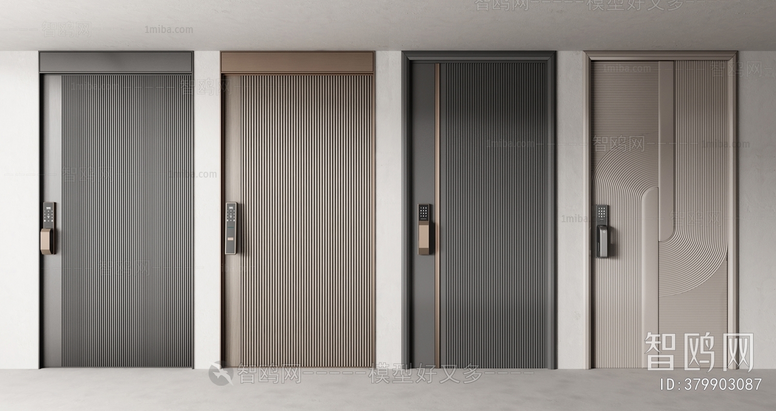 Modern Entrance Door