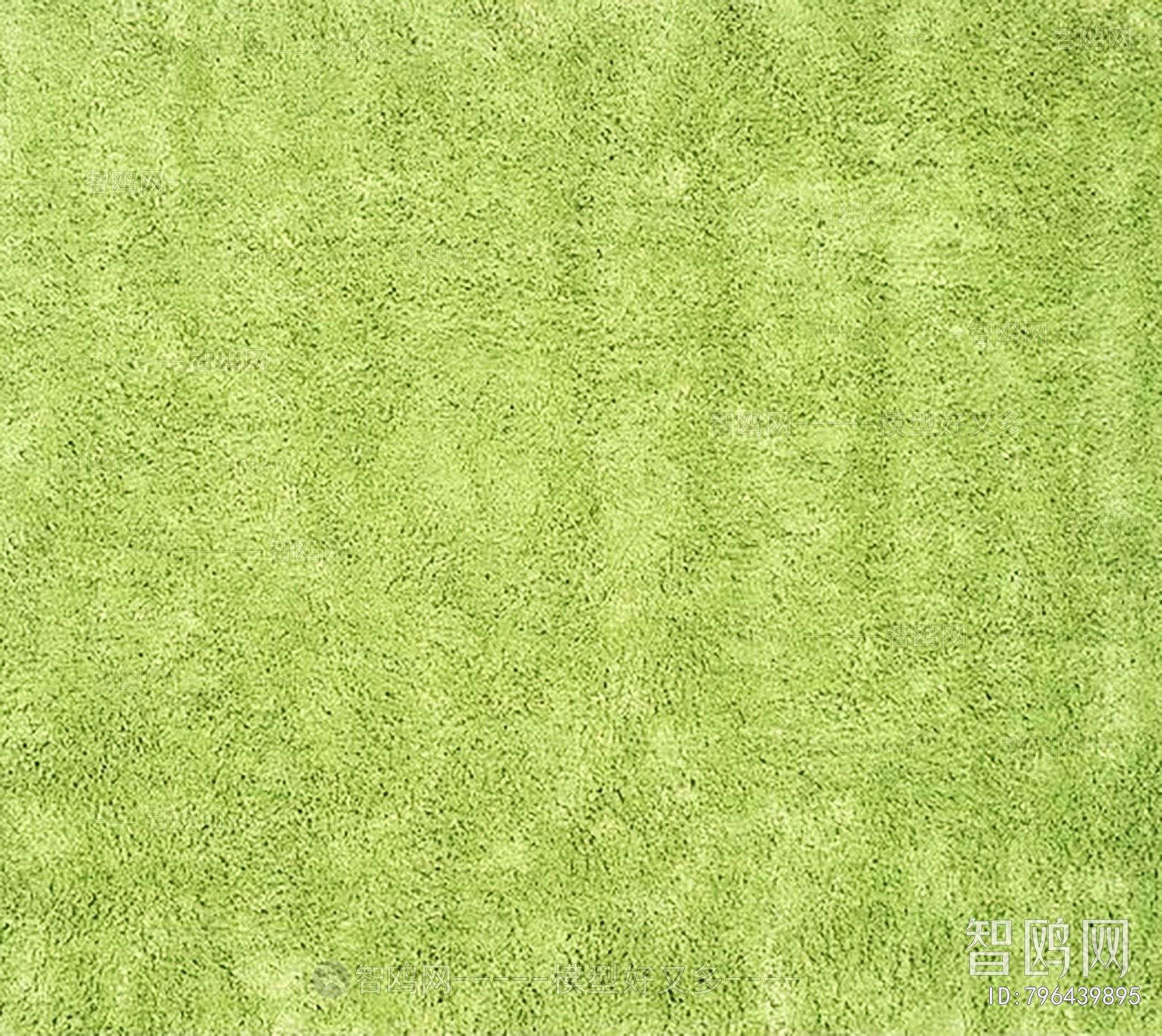 Grass