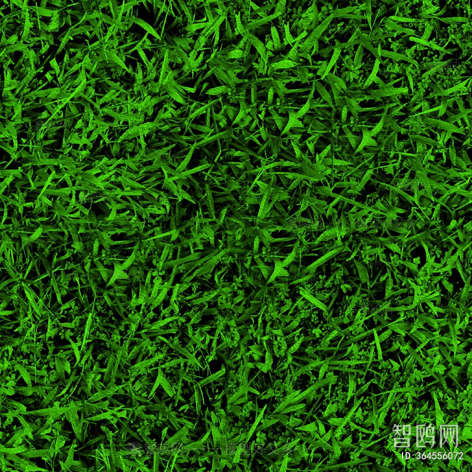 Grass