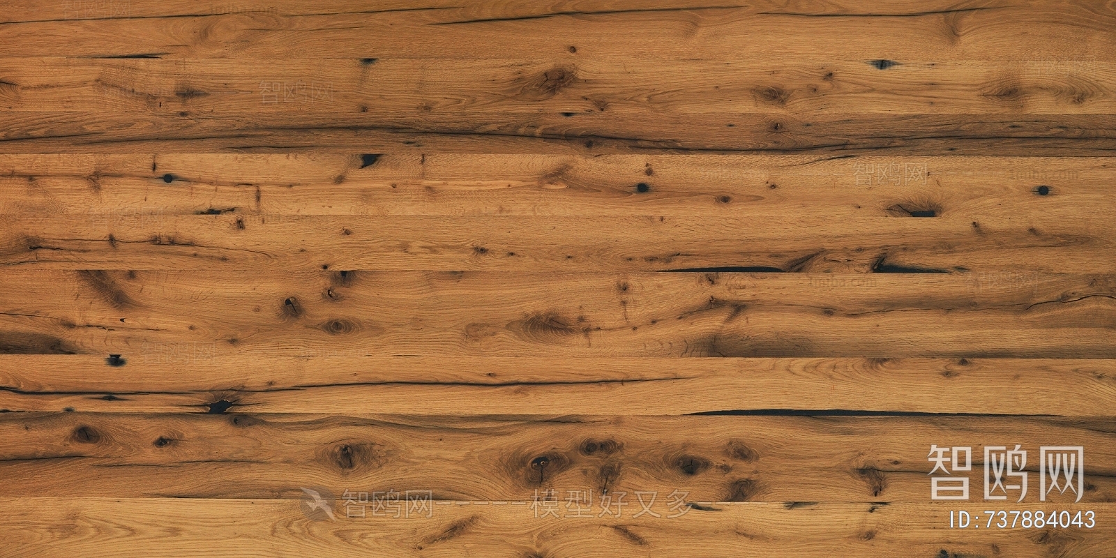 Wood Texture