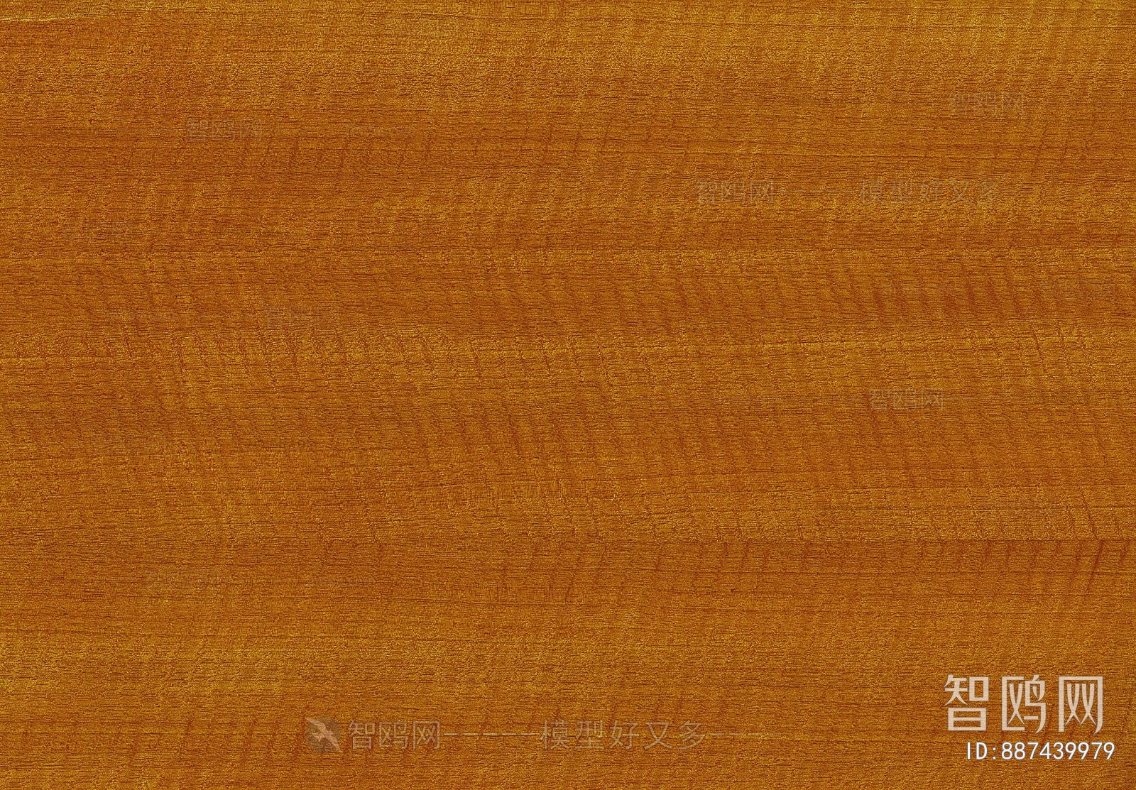 Wood Texture