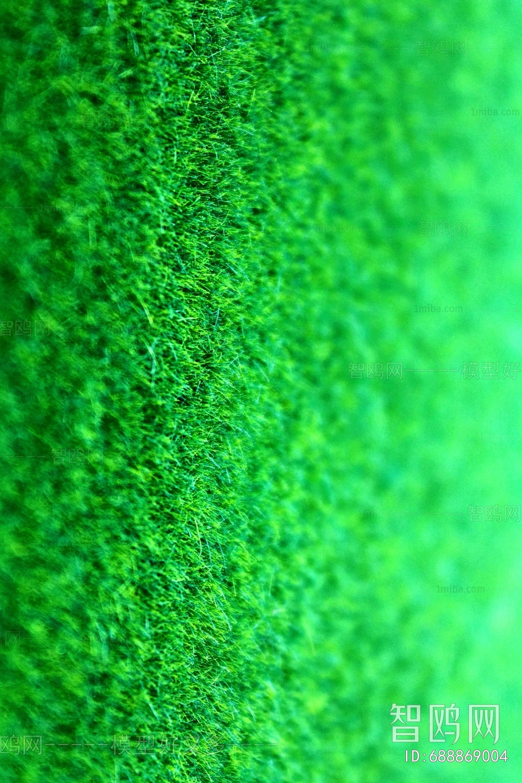 Grass