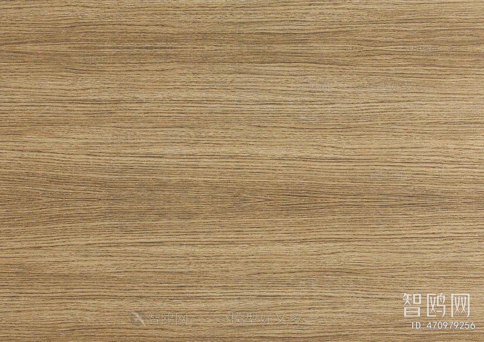 Wood Texture